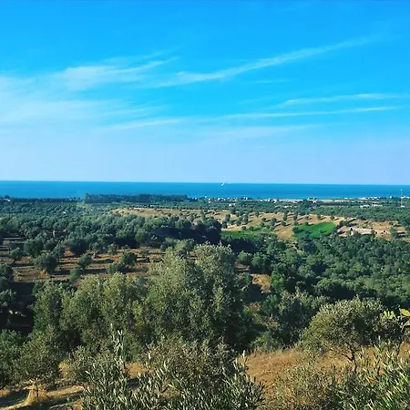 Il Pucchietto רוסאנו