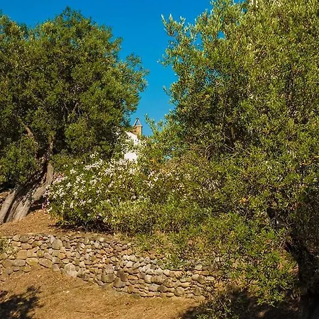 Il Pucchietto Agroturismo