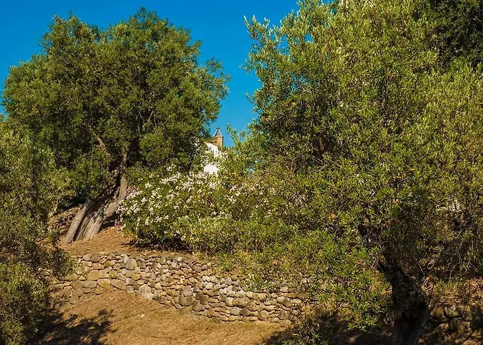 Il Pucchietto Alojamento de Turismo Rural